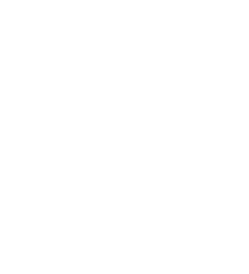 Celebrate Icon